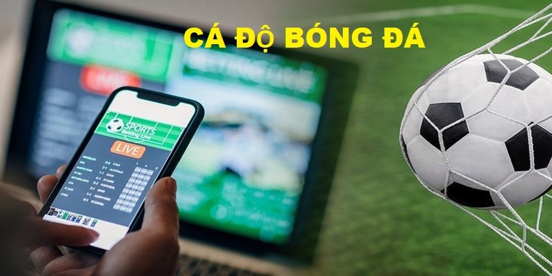 ảnh đại diện cá độ bóng đá