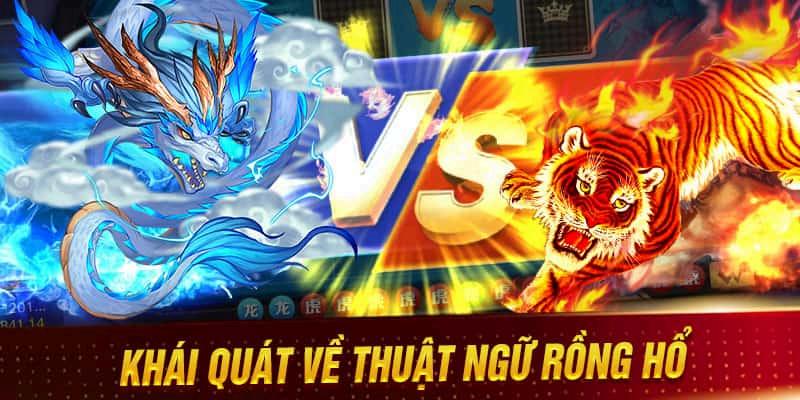 Thuật ngữ phổ biến nhất game Rồng Hổ thế nào?